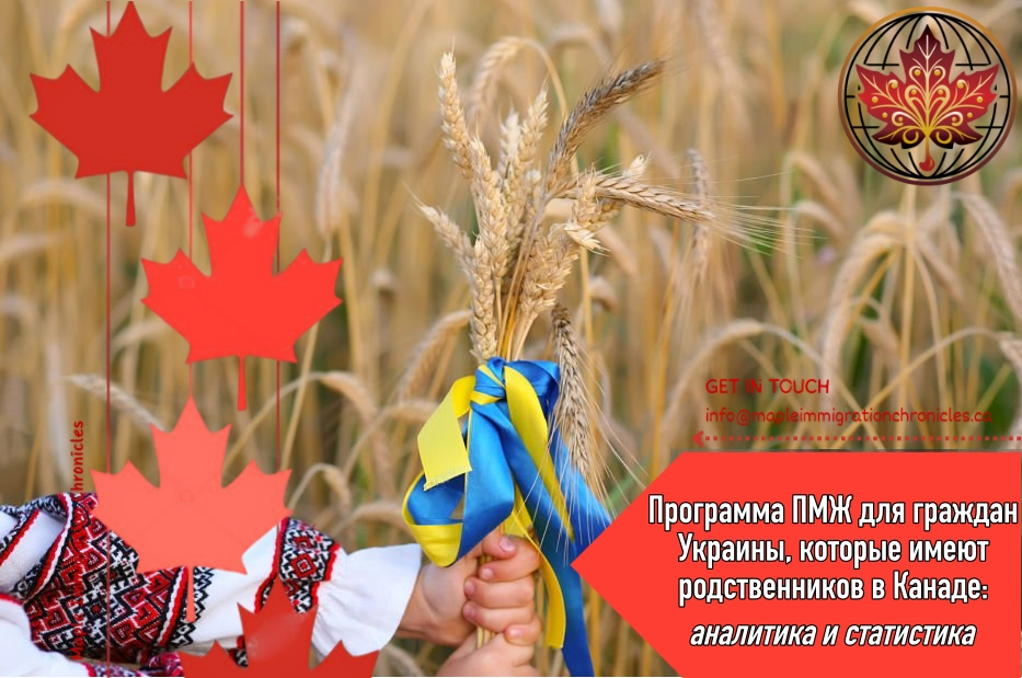 A bouquet of wheat spikelets tied with a yellow and blue ribbon in the hands of a girl in an embroidered shirt. Hands close-up focus on ears of corn. Independence day of ukraine, constitution flag